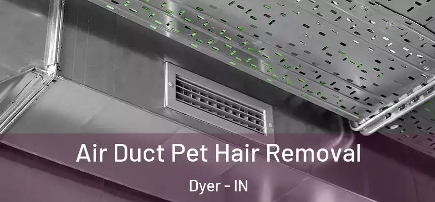  Air Duct Pet Hair Removal Dyer - IN
