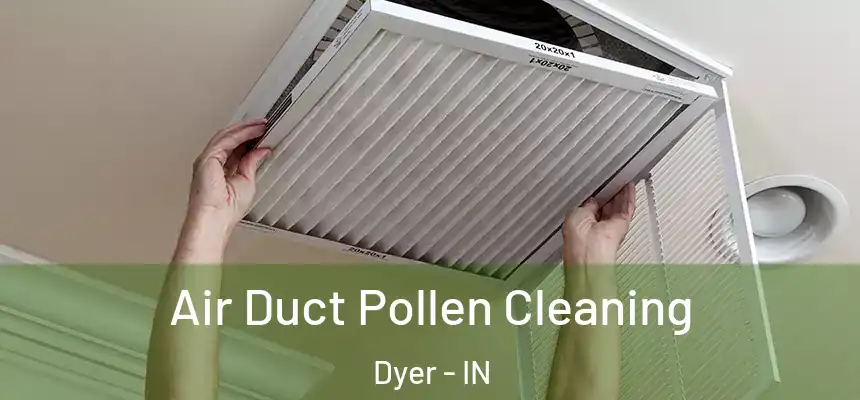  Air Duct Pollen Cleaning Dyer - IN