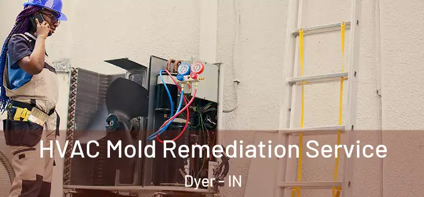  HVAC Mold Remediation Service Dyer - IN