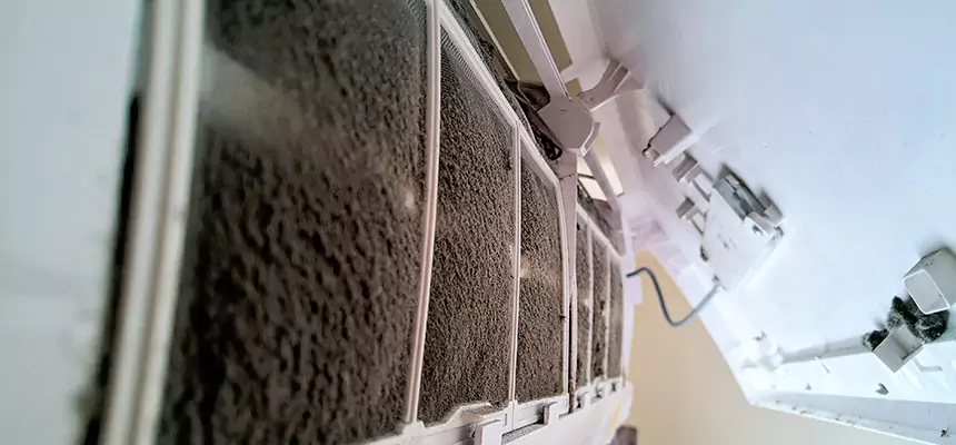 Preventive Air Duct Bacteria Removal in Dyer