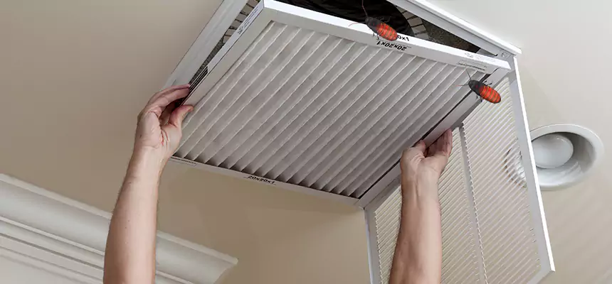Preventive Cockroach-Proofing for Ducts in Dyer