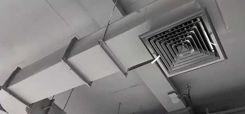 Restorative Allergy Relief Vent Cleaning – Coil, Blower & Housing Detail in Dyer