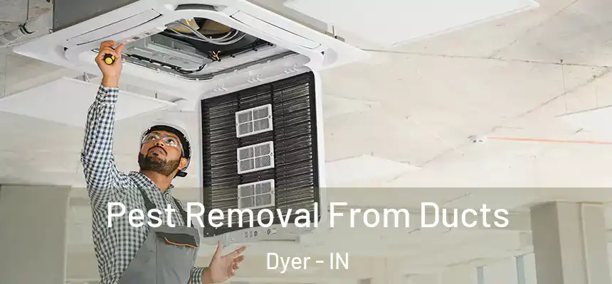  Pest Removal From Ducts Dyer - IN