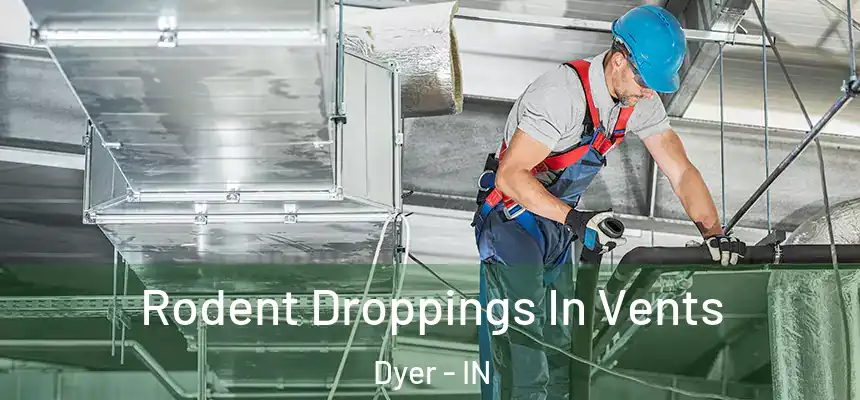  Rodent Droppings In Vents Dyer - IN