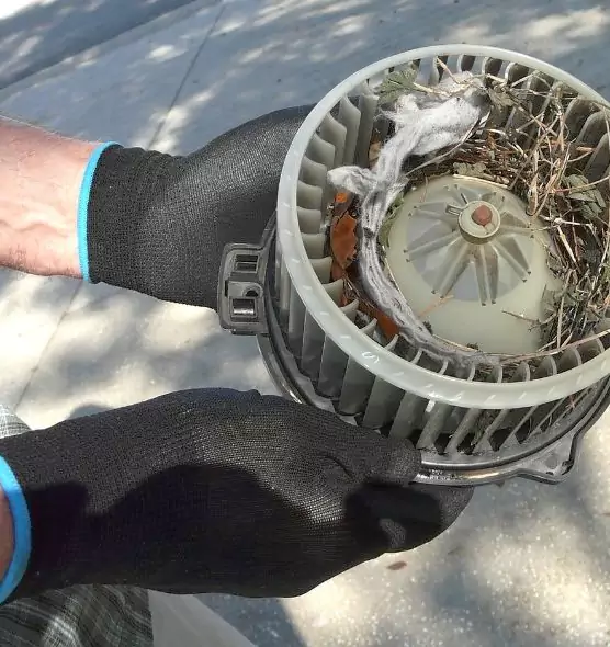 About Air Duct Rat Removal in Dyer, IN