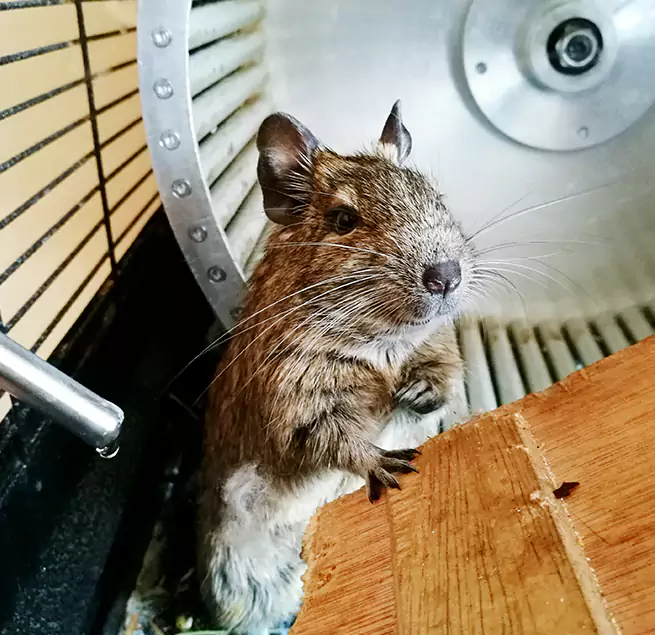 Why Homeowners & Businesses Trust Us Dyer, IN?