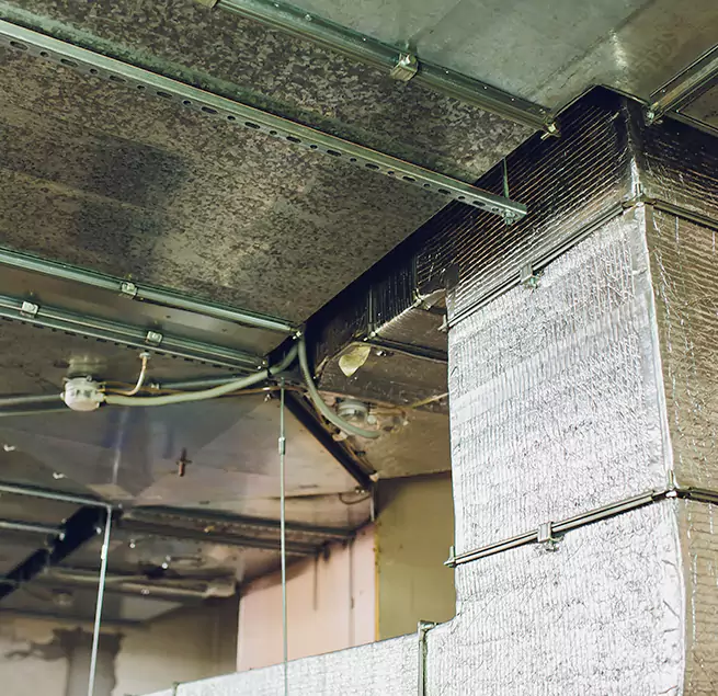 Why Homeowners & Businesses Trust Us in Dyer, IN?